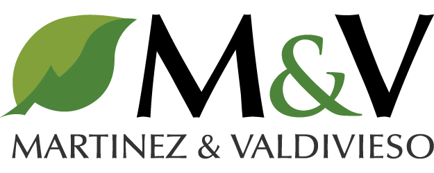 martínez y valdivieso